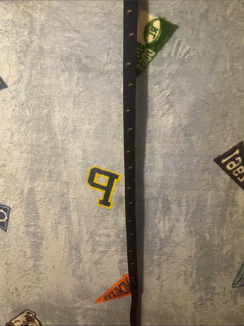 Polo belt